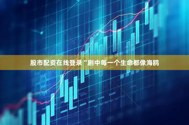 股市配资在线登录“剧中每一个生命都像海鸥