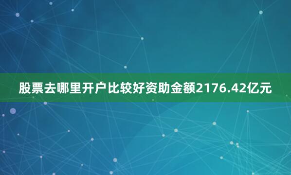 股票去哪里开户比较好资助金额2176.42亿元