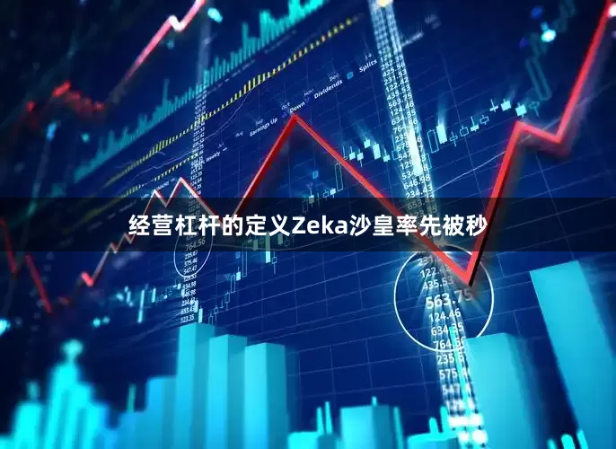 经营杠杆的定义Zeka沙皇率先被秒