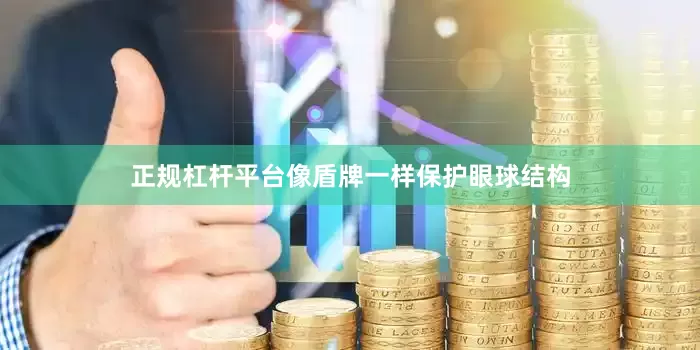 正规杠杆平台像盾牌一样保护眼球结构