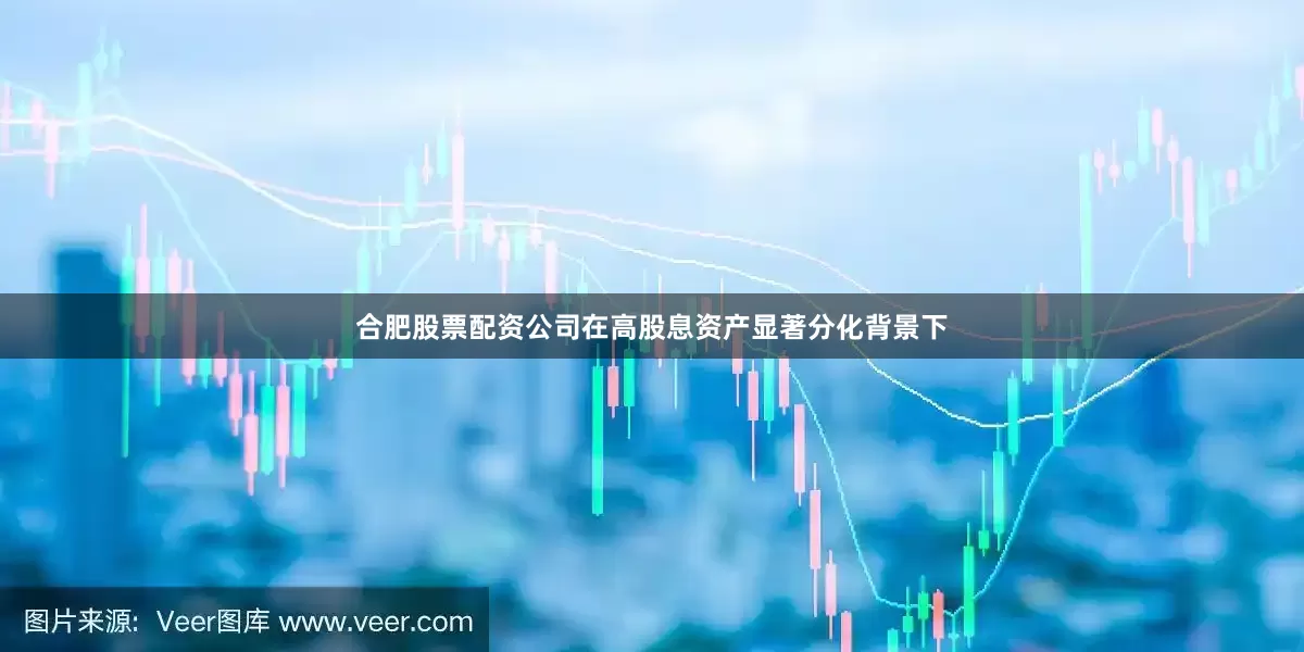 合肥股票配资公司在高股息资产显著分化背景下