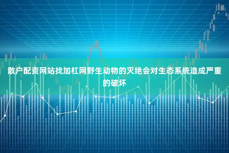 散户配资网站找加杠网　　野生动物的灭绝会对生态系统造成严重的破坏