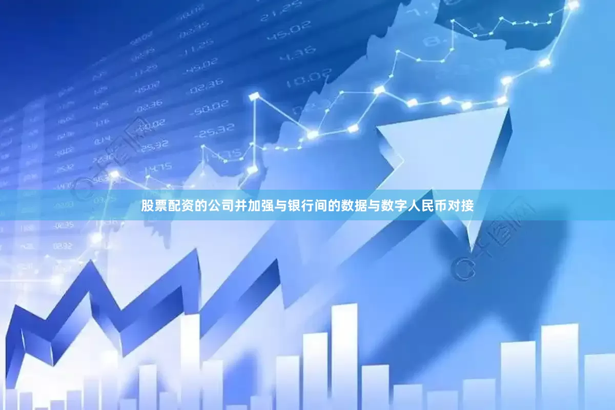股票配资的公司并加强与银行间的数据与数字人民币对接
