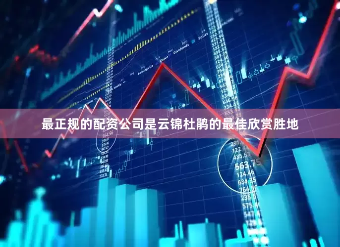 最正规的配资公司是云锦杜鹃的最佳欣赏胜地