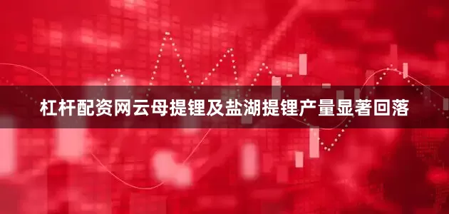杠杆配资网云母提锂及盐湖提锂产量显著回落