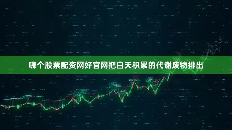 哪个股票配资网好官网把白天积累的代谢废物排出